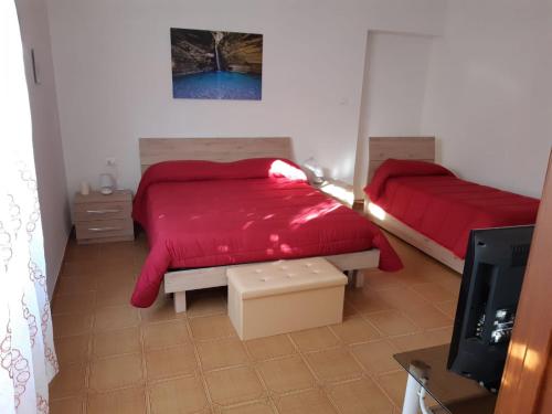 een slaapkamer met een rood bed en een televisie bij Small Flat in Scafa