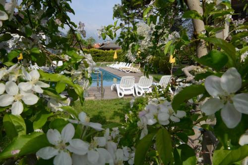 Bazén v ubytování Hotel Tannerhof nebo v jeho okolí
