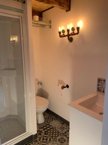 a bathroom with a shower and a toilet and a sink at Studio spa privé accès piscine in Moëlan-sur-Mer