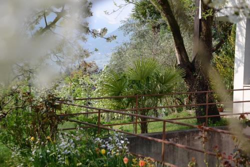 a view of a garden with flowers and plants at Hotel Tannerhof in Merano
