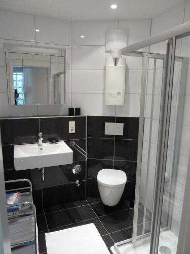 a bathroom with a toilet and a sink at Ferienwohnungen Nora in Bad Neuenahr-Ahrweiler