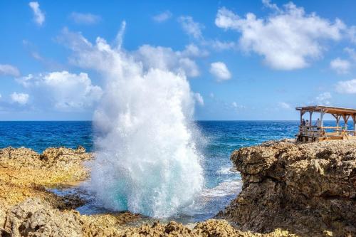  Piscadera Bay Resort 104 -  Chambre  photo :   Shower    Safety deposit box    TV                           
