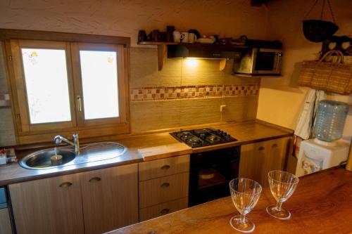 Кухня або міні-кухня у Kuća za odmor Grunt