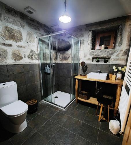 a bathroom with a shower and a toilet and a sink at Cardenha da Bessada in Branda de Santo António