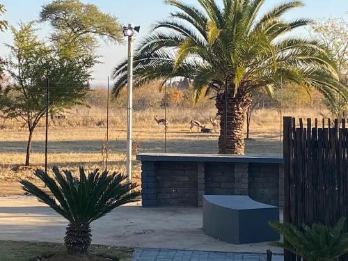 a palm tree and a bench and a street light at Sasavona Game Lodge in Warmbaths