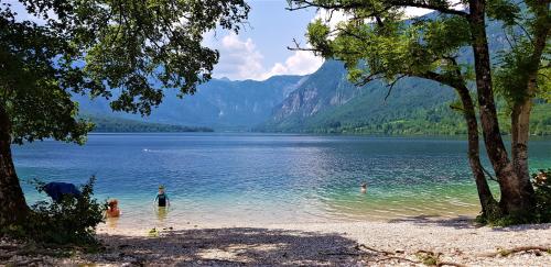 a group of people swimming in a lake at 7 LAKES apartment in Bohinj
