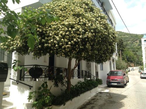 Gallery image of Hotel Asteria in Agios Kirykos