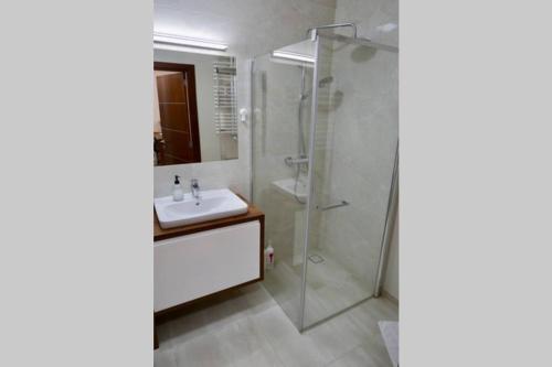a bathroom with a sink and a shower at Sarmacka Apartment in Wilanów in Warsaw