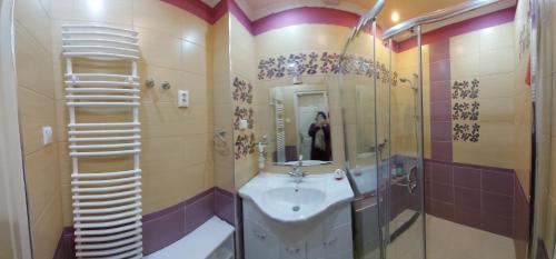 a bathroom with a sink and a shower at Klauzál Apartment in Szeged