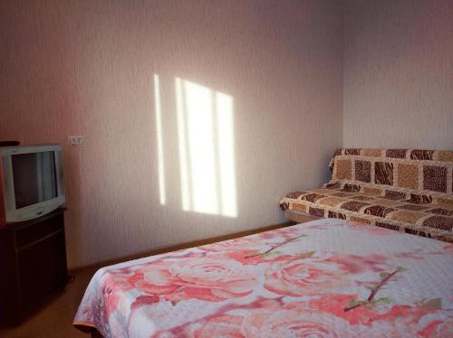 ベルツクにあるАпартаменты у Зима - Летоの小さなベッドルーム(ベッド1台、テレビ付)