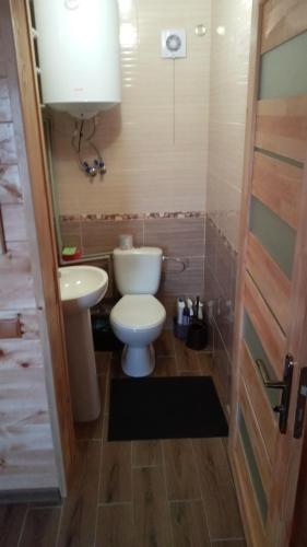 a bathroom with a toilet and a sink at Біля лісу Шале з двома спальнями in Slavske