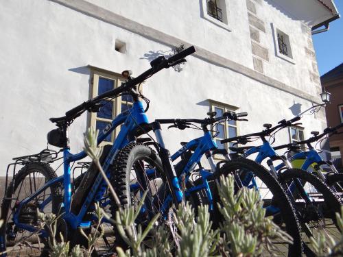 een groep fietsen geparkeerd naast een gebouw bij Apartments Možinetova hiša in Šentjošt nad Horjulom