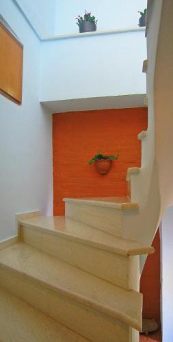 a staircase with a potted plant on the wall at Imeros in Chania Town