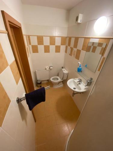 a small bathroom with a toilet and a sink at Hotel Zlatý Chlum in Česká Ves