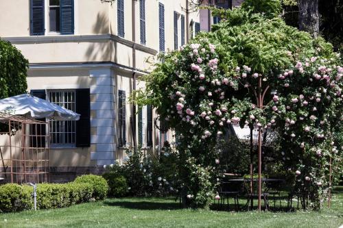 a garden with a large tree with pink flowers at Villino di Porporano in Parma