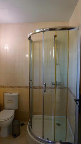 a bathroom with a shower and a toilet at Вила Ваня - Villa Vania in Bŭlgarevo