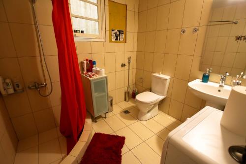 un bagno con wc, lavandino e doccia di The monumental house ad Atene
