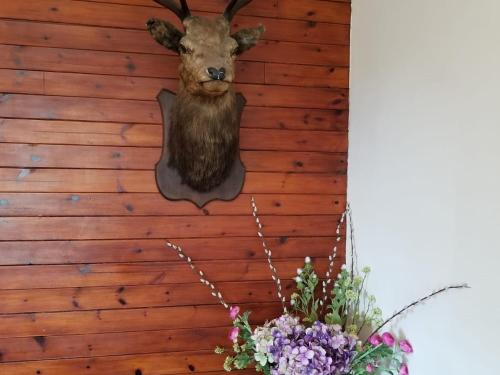 a head of a deer hanging on a wall with flowers at Glenan Lodge Self Catering in Tomatin