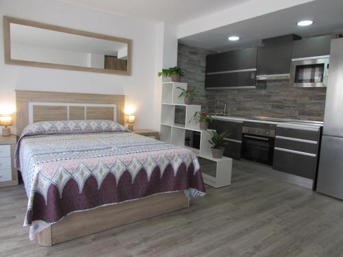 1 dormitorio grande con 1 cama y cocina en GARRUCHA HOME AND BEACH, en Garrucha