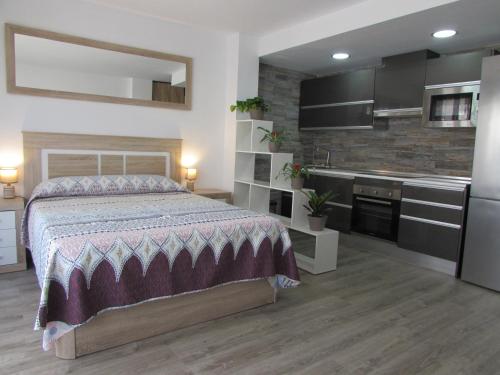 a large bedroom with a bed and a kitchen at GARRUCHA HOME AND BEACH in Garrucha