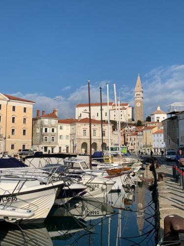 a bunch of boats are docked in a harbor at Apartments Bevk in Piran