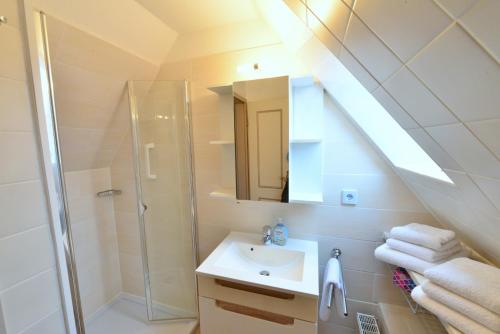 ein Bad mit einem Waschbecken, einer Dusche und einem Spiegel in der Unterkunft Amrum in Wyk auf Föhr