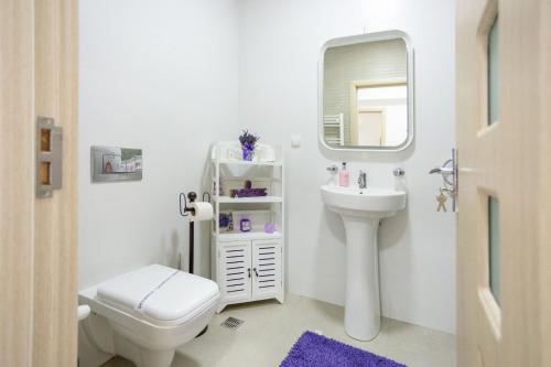 Ванная комната в Bucegi View 39 - Colina Marei
