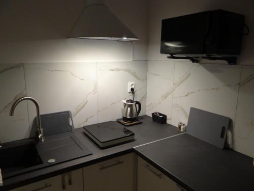 a kitchen with a sink and a mixer on a counter at Hotel Apartamenty 72 in Płock