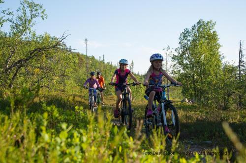 a group of children riding bikes down a trail at Vemdalsskalets Högfjällshotell & lägenheter in Vemdalsskalet