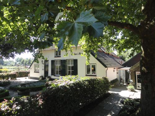 a white house with a tree in front of it at B&B De Willemshoeve in Wageningen
