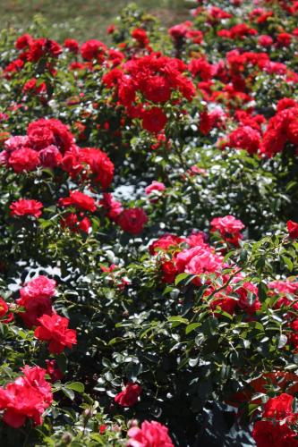 Taman di luar Agape Hotel Niort- Bessines
