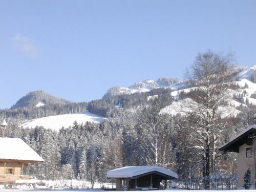 a snow covered mountain with a house and trees at Gästehaus Roland in Kirchberg in Tirol