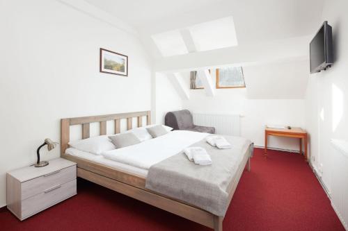 Postel nebo postele na pokoji v ubytování ProFamily Hotel TOP Benecko