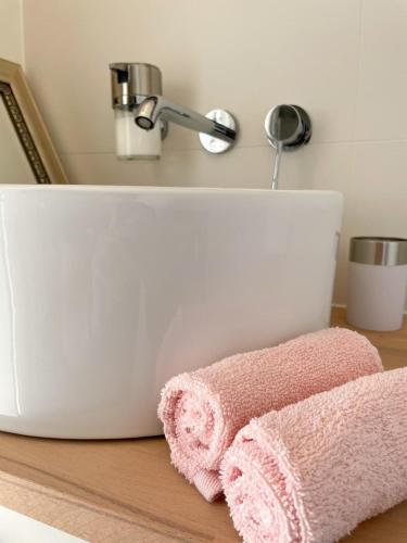 a bathroom sink with a pink towel on a counter at Vida Verde in Valkenburg