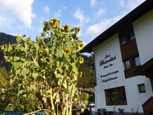 Haus Penkenblick