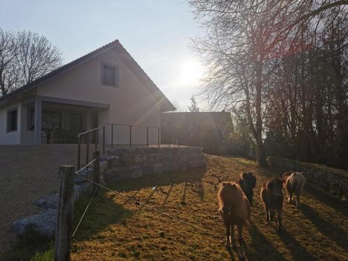 eine Gruppe von Pferden, die auf einem Feld in der Nähe eines Hauses stehen in der Unterkunft La Maison du Colombier in Le Fied