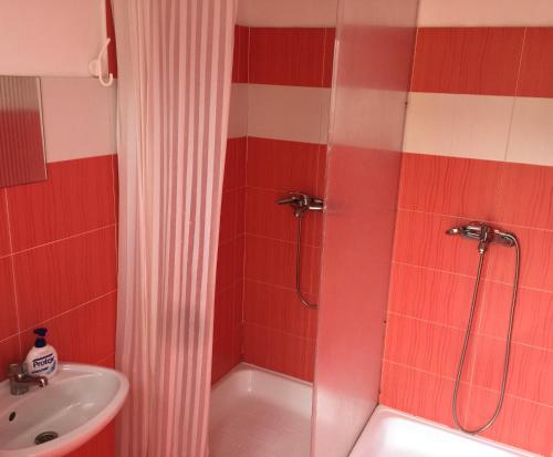 a bathroom with a shower and a sink at Rafting & Via Ferrata Base Camp in Vadu Crişului