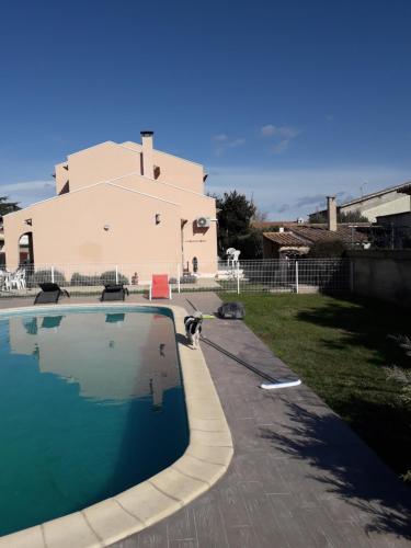 a dog is standing next to a swimming pool at Nimes-Camargues in Garons