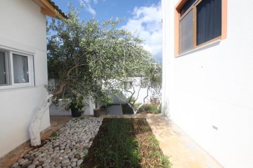 Κήπος έξω από το Villa Oden