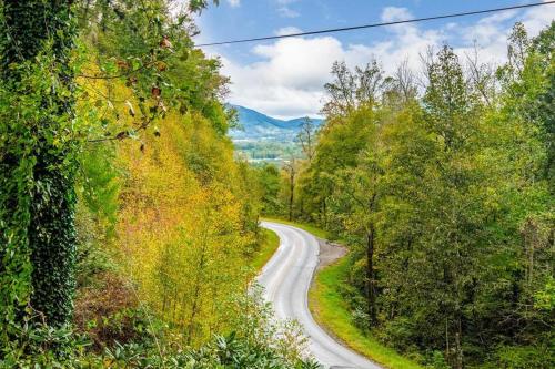 Apple Valley Cabin – Photos 4