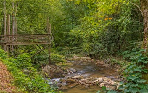 Rushing Waters Retreat – Photos 5