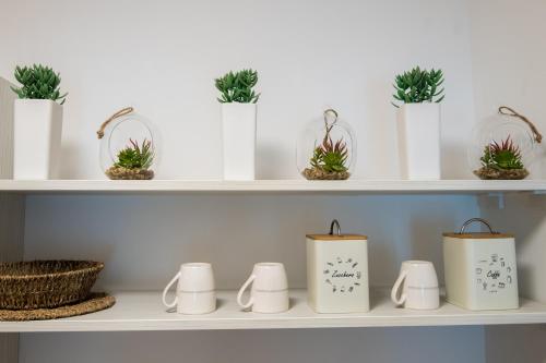 a shelf filled with white mugs and potted plants at Apartmani IVA in Neum