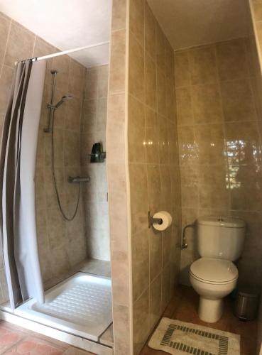 a bathroom with a shower and a toilet at Cortijo el Abejaruco in Almuñécar