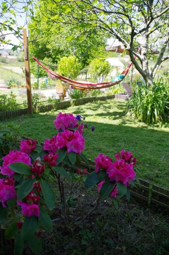 a bush of pink flowers in a yard at Maison Elizondoa - chambres, restaurant et SPA in Masparraute