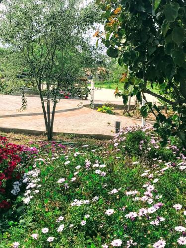 Κήπος έξω από το Appartamenti Pousada Michelino