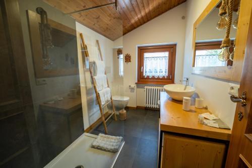 uma casa de banho com um chuveiro, um lavatório e um WC. em B&B I FAGGI em Lavarone