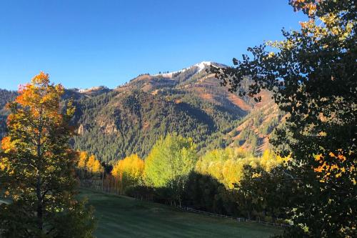 Ketchum Bliss – Photos 3