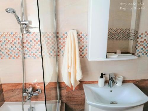 a bathroom with a shower and a sink at Cozy Apartment Bujorilor Suceava in Suceava