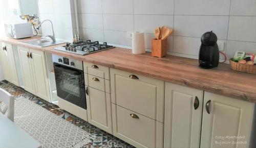 uma cozinha com um balcão e um fogão forno superior em Cozy Apartment Bujorilor Suceava em Suceava