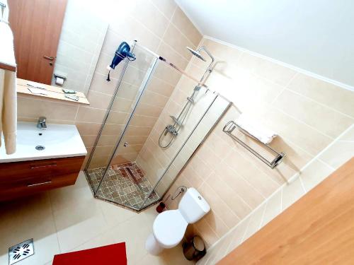 a bathroom with a shower and a toilet and a sink at Casa Coral Sulina in Sulina